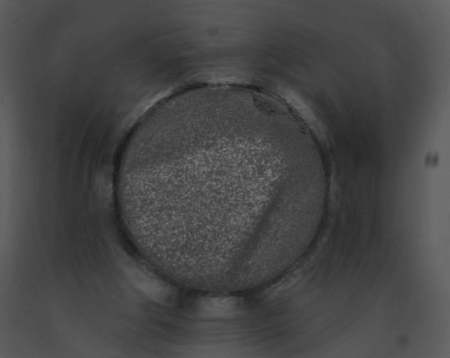 X0000091370202200708311532