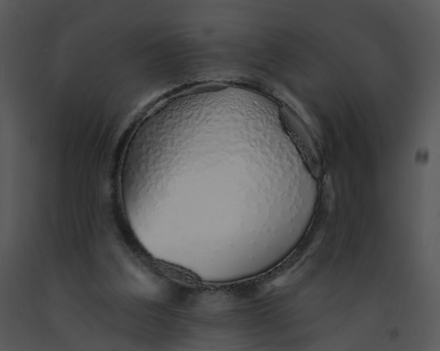 X0000091370203200708311532