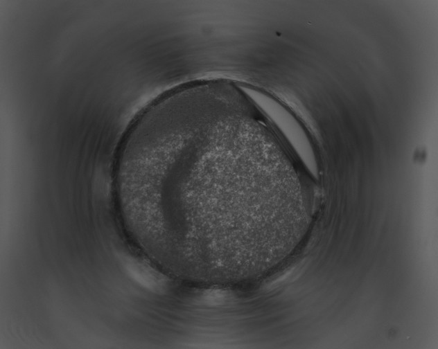 X0000091370204200708311532