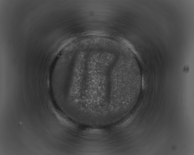 X0000091370205200708311532