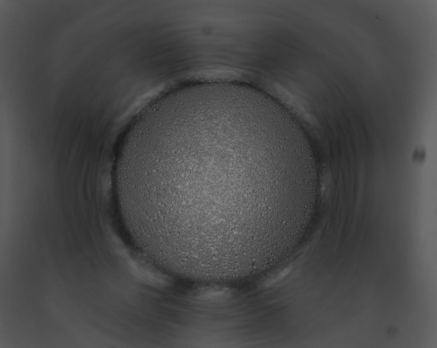 X0000091370206200708311532