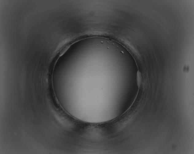 X0000091370207200708311532