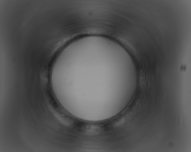 X0000091370208200708311532