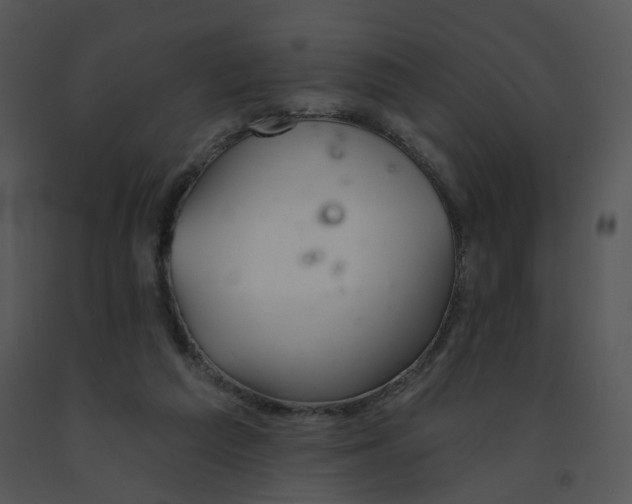 X0000091370209200708311532