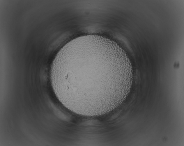 X0000091370210200708311532