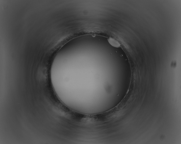 X0000091370211200708311532