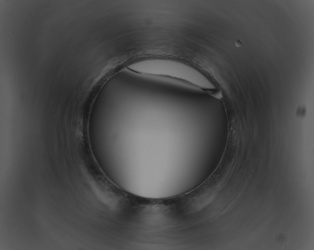 X0000091370212200708311532