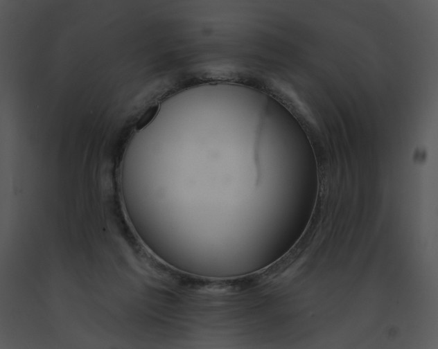 X0000091370213200708311532