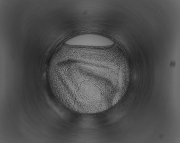 X0000091370214200708311532