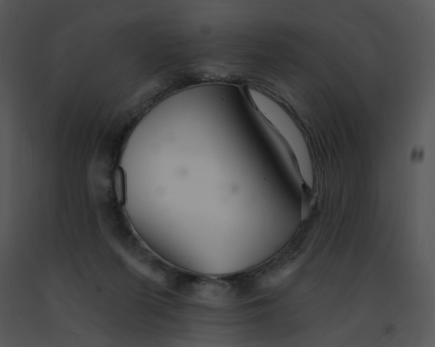 X0000091370215200708311532