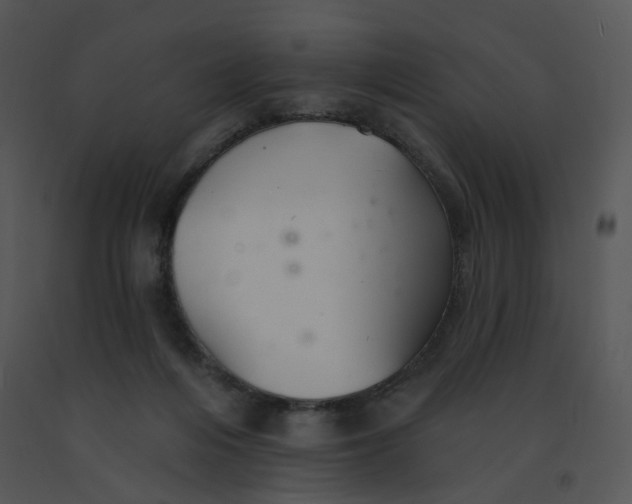 X0000091370216200708311532