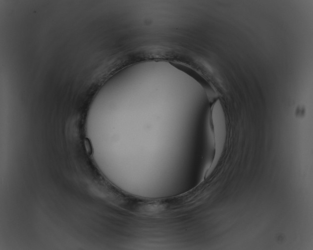 X0000091370217200708311532