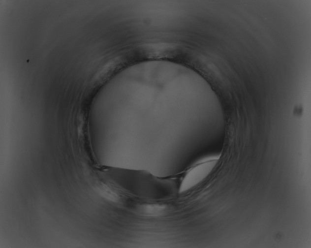 X0000091370219200708311532