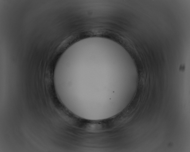 X0000091370220200708311532