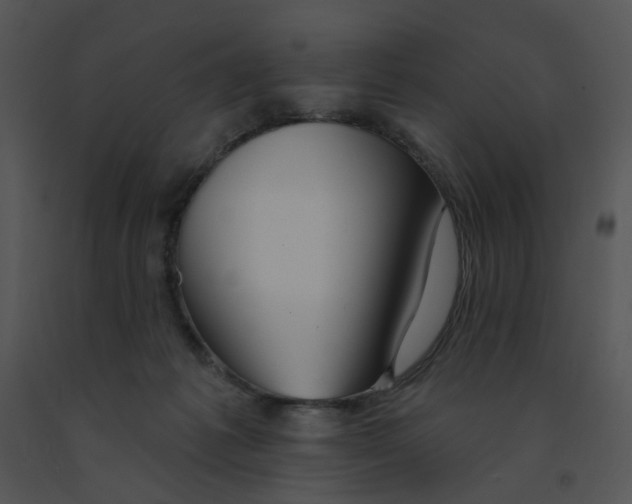 X0000091370221200708311532