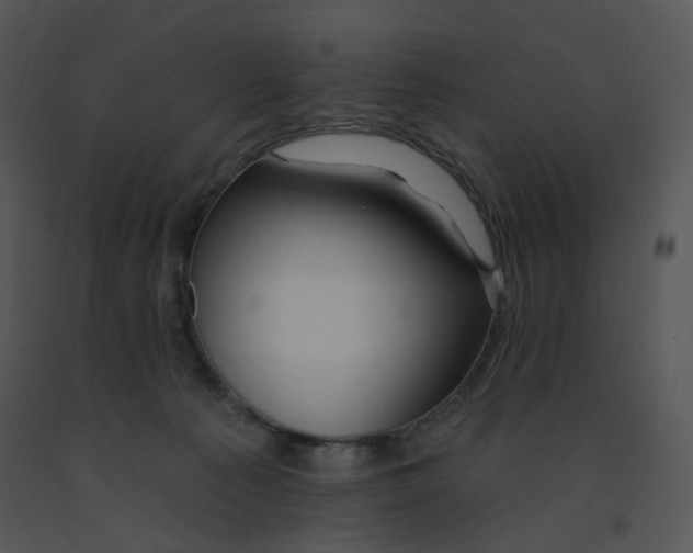 X0000091370225200708311532