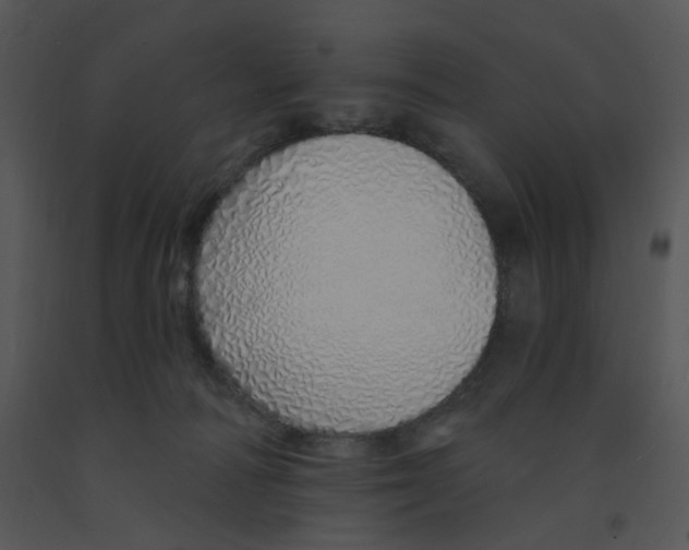 X0000091370226200708311532