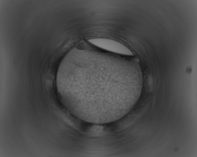 X0000091370227200708311532