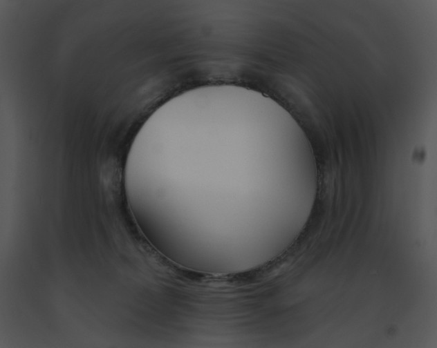 X0000091370228200708311532