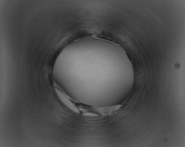 X0000091370229200708311532