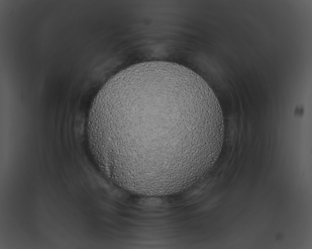 X0000091370230200708311532