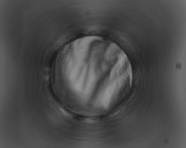 X0000091370232200708311532