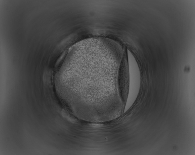 X0000091370233200708311532