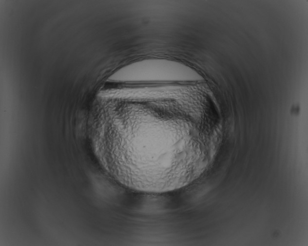 X0000091370234200708311531