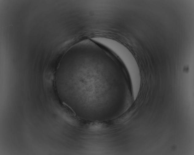 X0000091370235200708311531