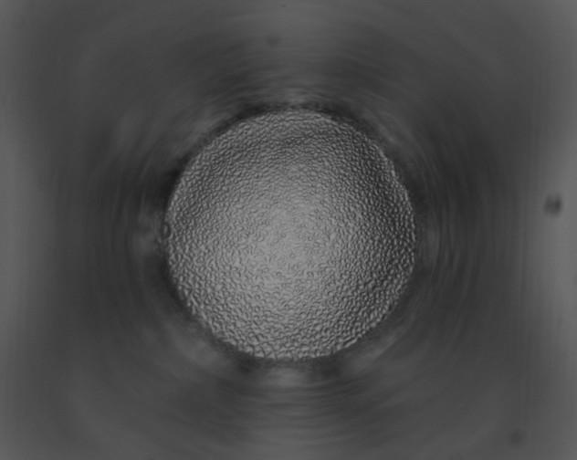 X0000091370236200708311531