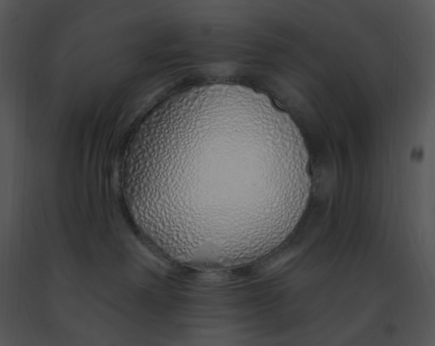 X0000091370238200708311531