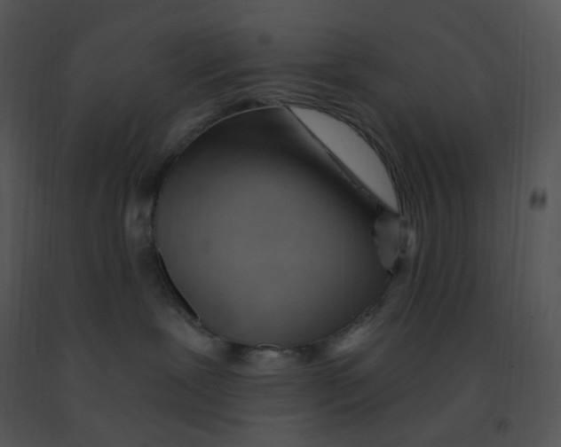 X0000091370239200708311531