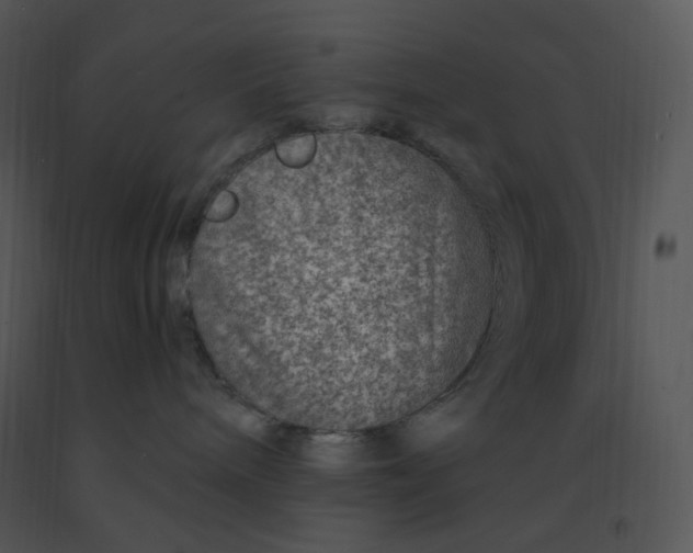 X0000091370240200708311531