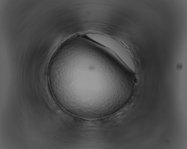 X0000091370241200708311531