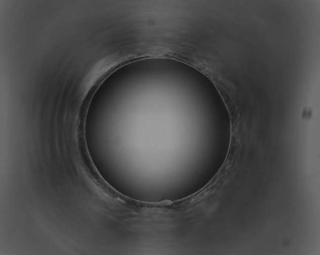 X0000091370242200708311531