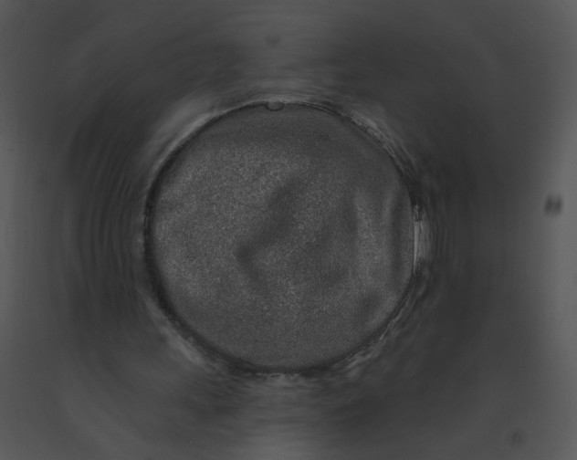 X0000091370243200708311531