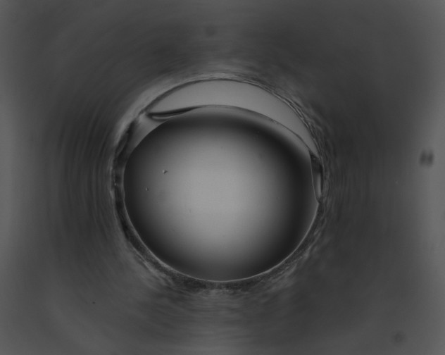 X0000091370244200708311531