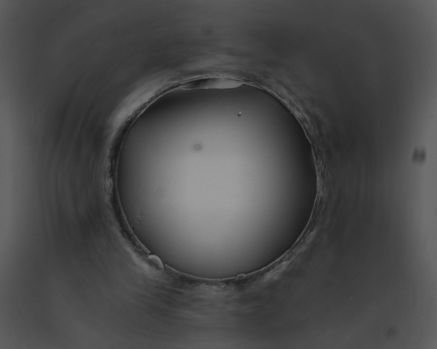 X0000091370245200708311531