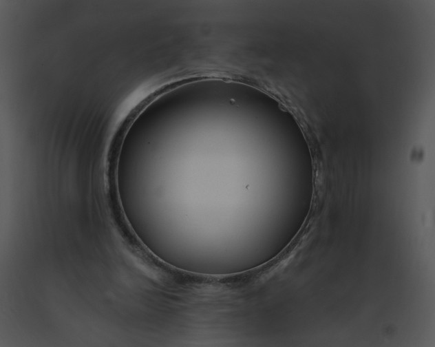 X0000091370246200708311531