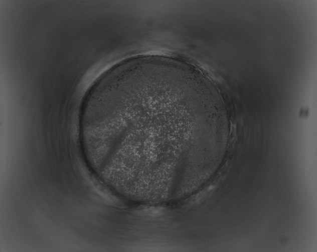 X0000091370247200708311531