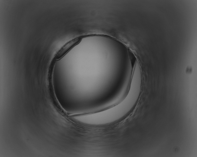 X0000091370248200708311531