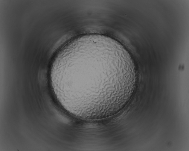 X0000091370250200708311531