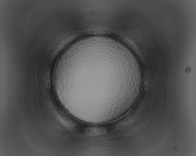 X0000091370251200708311531