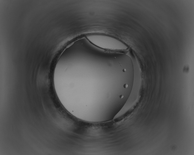 X0000091370252200708311531