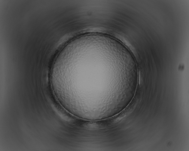 X0000091370253200708311531