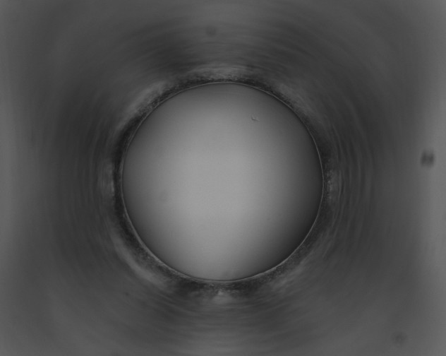 X0000091370254200708311531