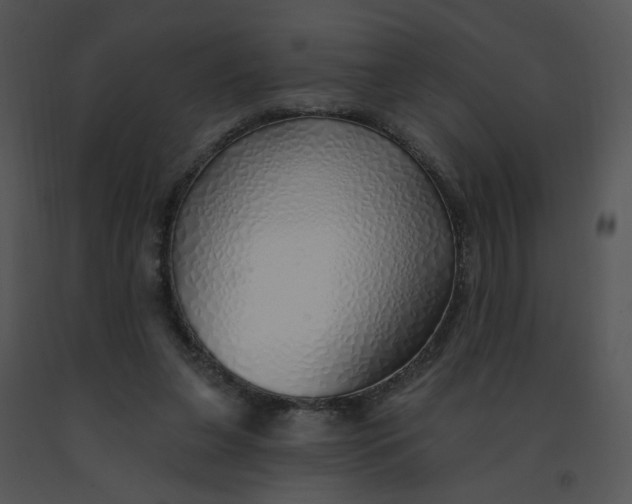 X0000091370255200708311531