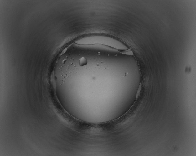 X0000091370256200708311531