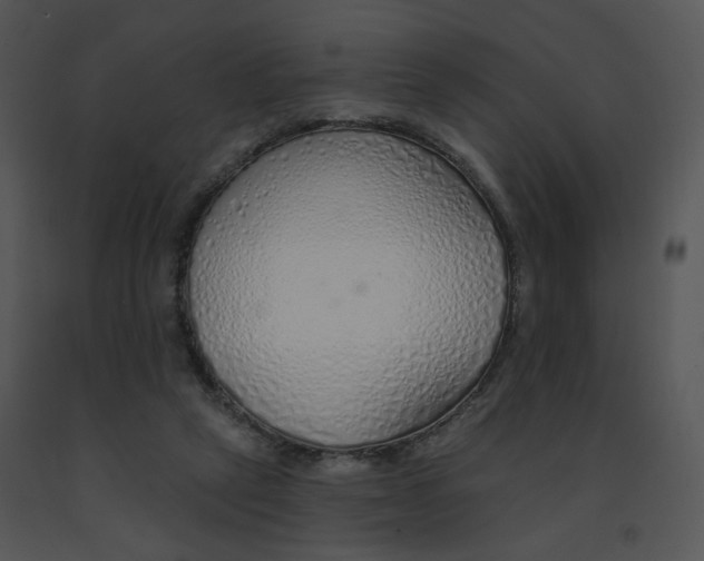 X0000091370257200708311531