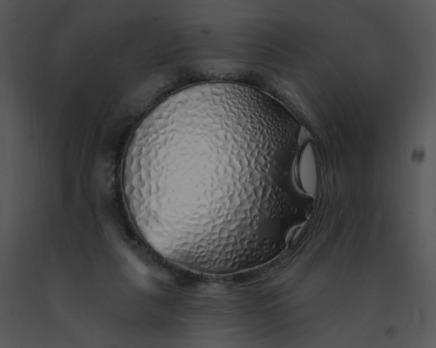 X0000091370259200708311531